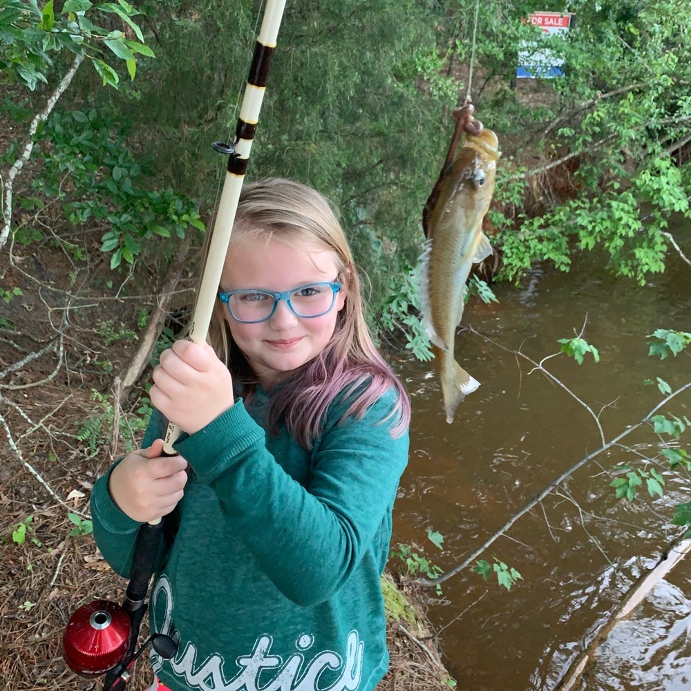 Meet your Posher, Lee